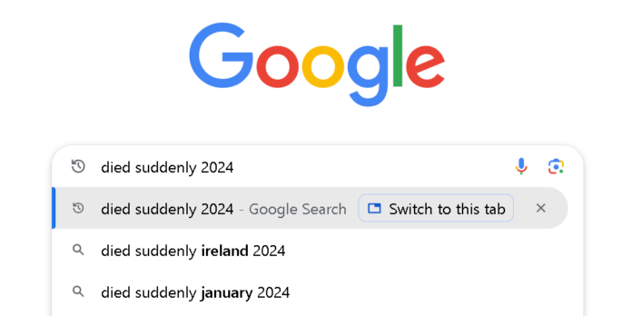 Google search on Died Suddenly 2024